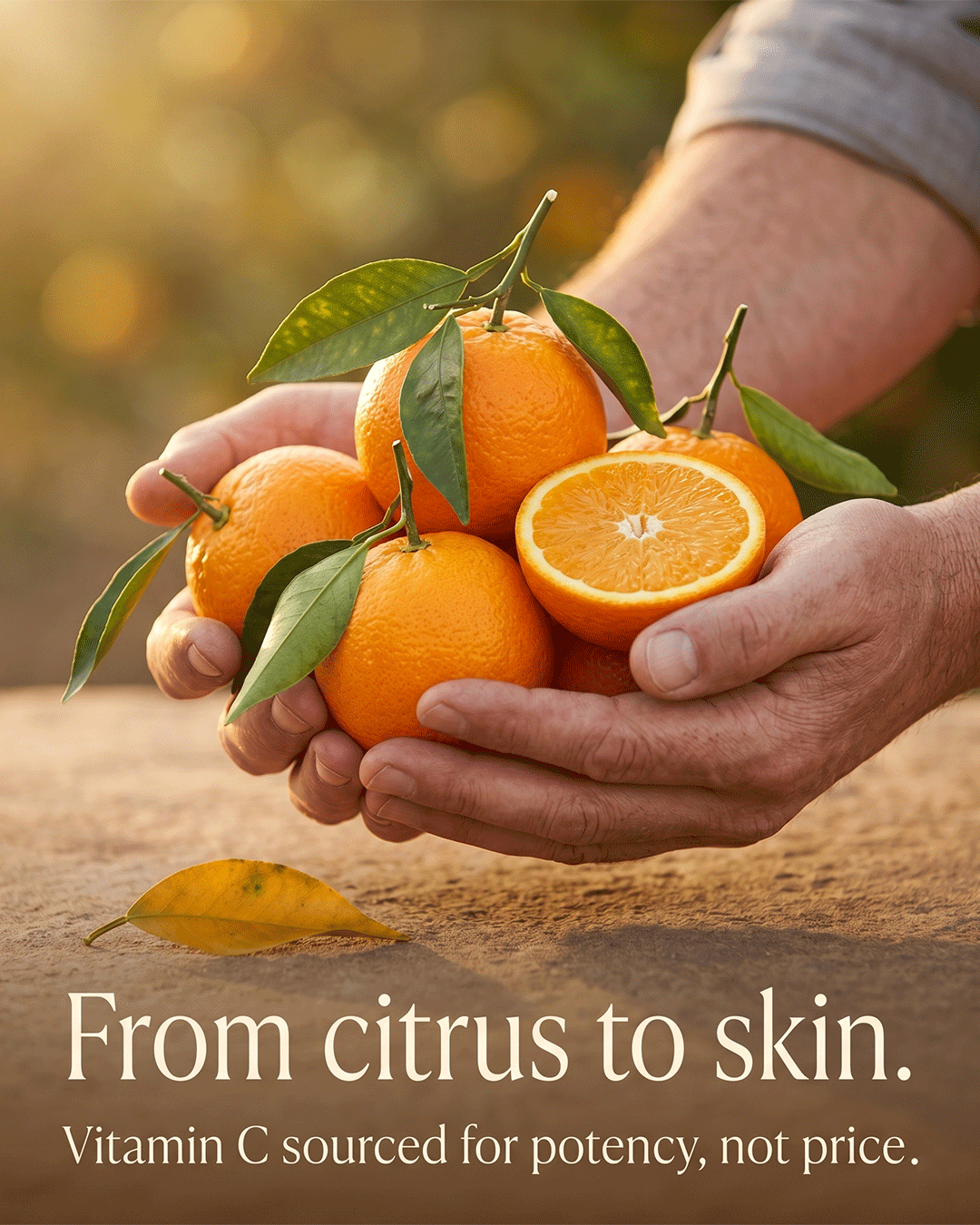 Aura Vitamin C Serum ingredient vitamin c brightening source and craft — small batch handcrafted face serum Parijat Blooms