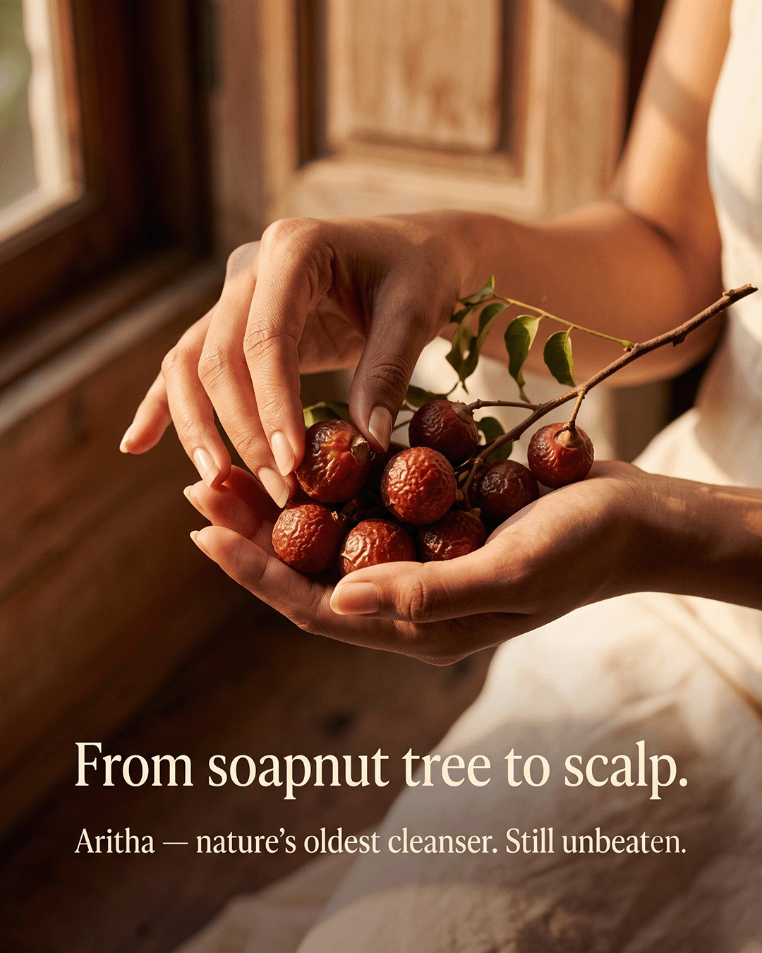 Cempo Herbal Shampoo ingredient aritha shikakai hibiscus source and craft — small batch handcrafted shampoo Parijat Blooms