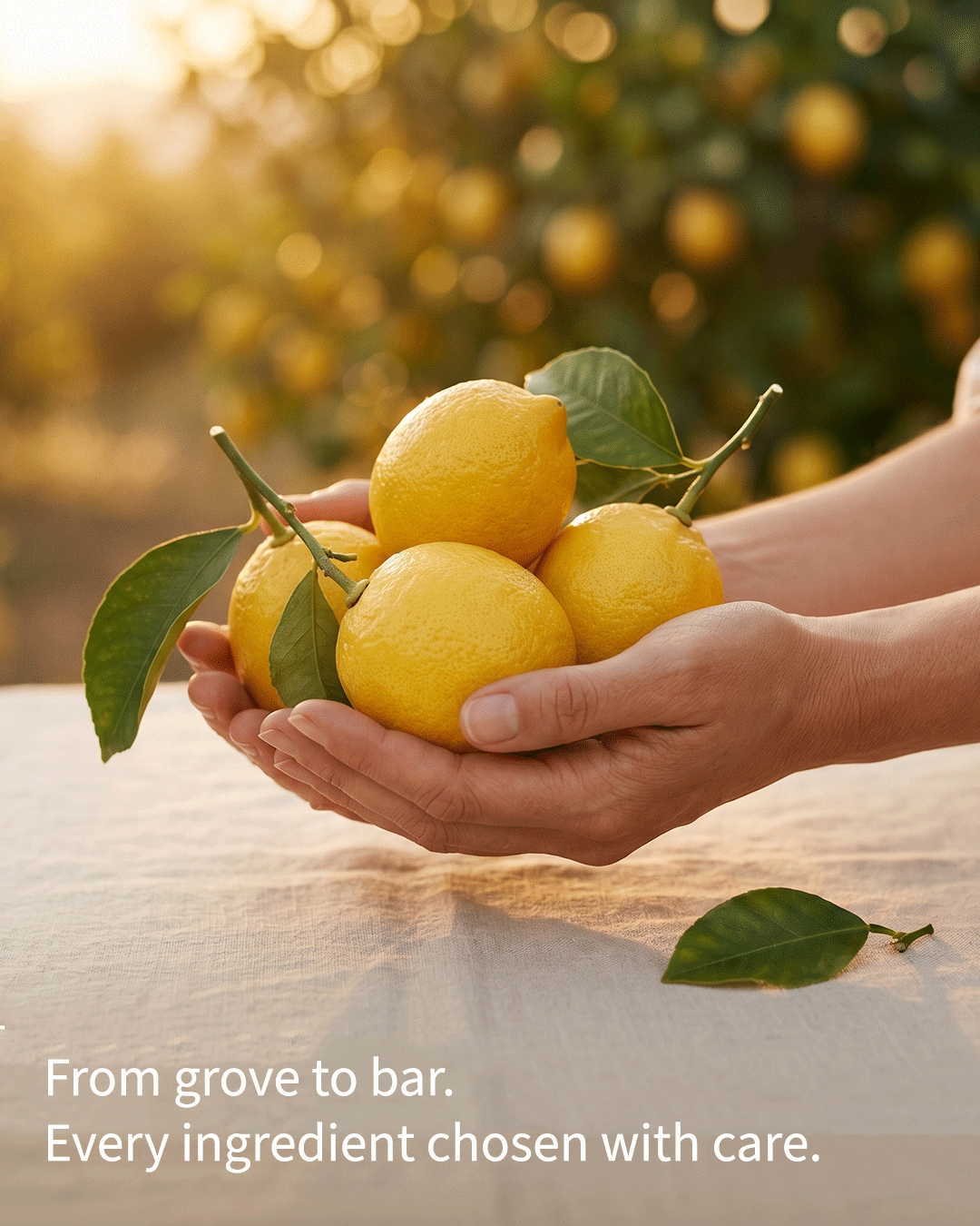 Jambir Handcrafted Bath Bar ingredient lemon essential oil source and craft — small batch handcrafted soap Parijat Blooms