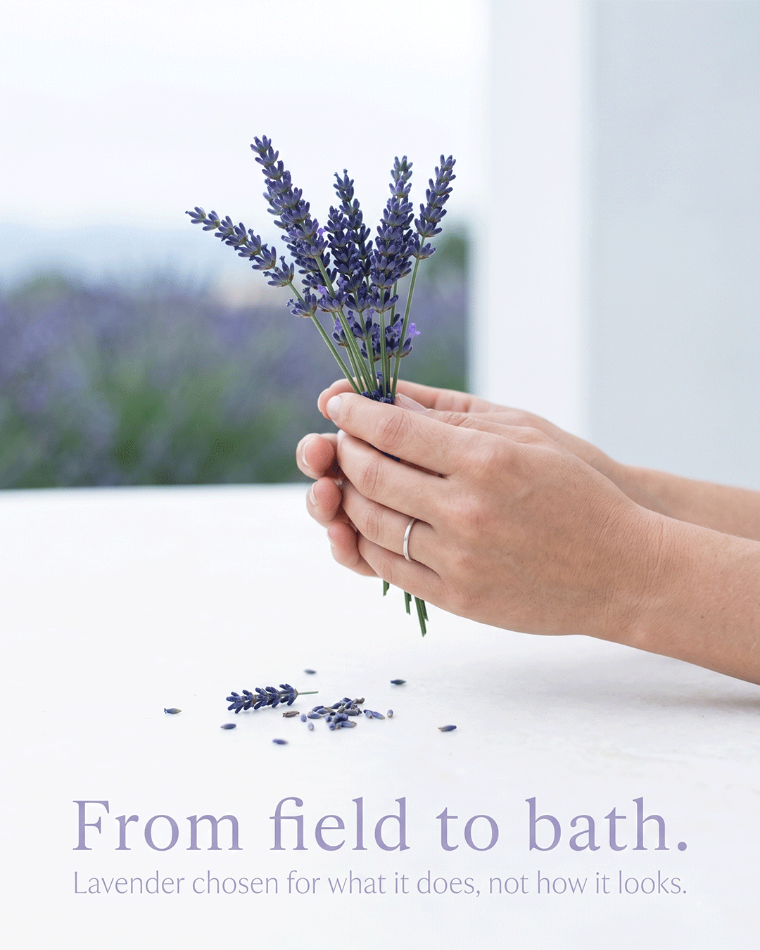 Kalm Lavender Epsom Bath Salt ingredient lavender essential oil source and craft — small batch handcrafted bath salt Parijat Blooms