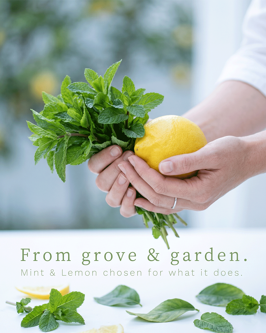 Moito Lemon Mint Epsom Bath Salt ingredient lemon mint essential source and craft — small batch handcrafted bath salt Parijat Blooms