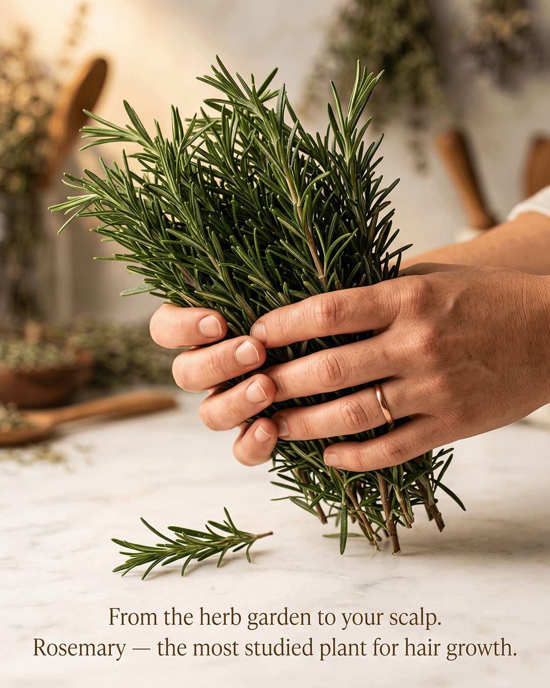 Narikelam Rosemary Hair Growth Oil ingredient rosemary essential oil source and craft — small batch handcrafted hair oil Parijat Blooms