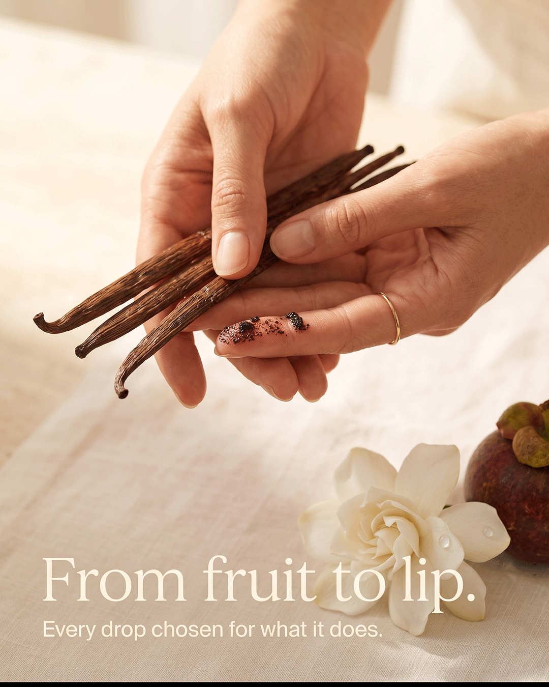 Venila Vanilla Lip Balm ingredient vanilla essential oil source and craft — small batch handcrafted lip balm Parijat Blooms
