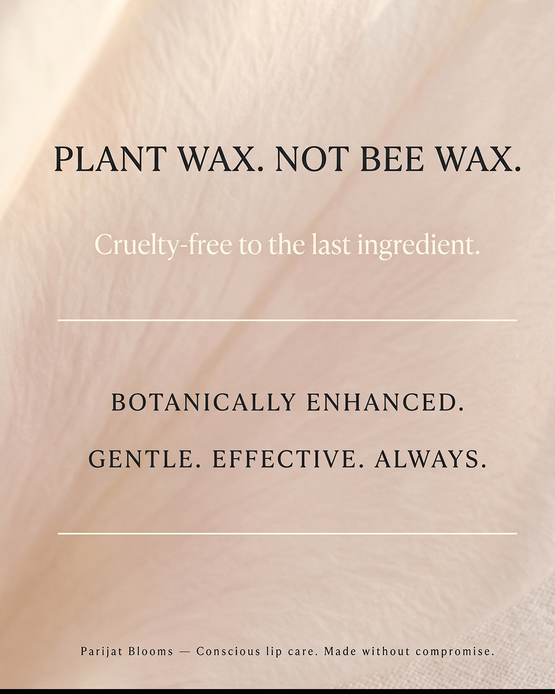 Venila Vanilla Lip Balm handcrafted small batch lip balm — plant based Jain Vegan natural claims Parijat Blooms India